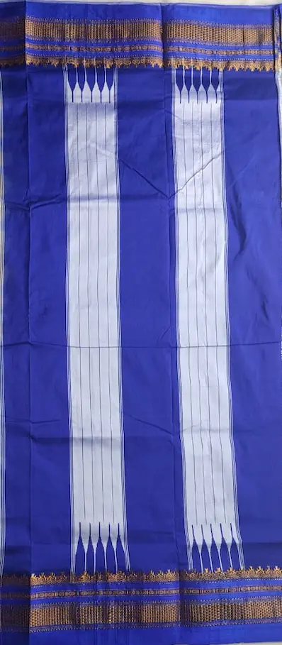 pallu.webp