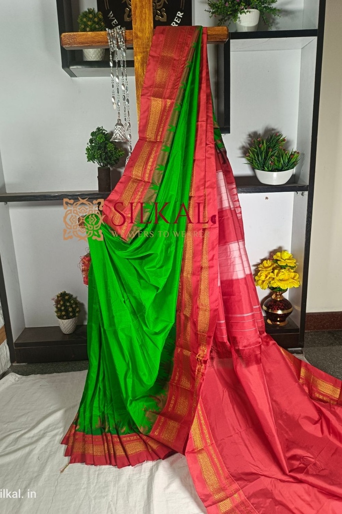Ilkal Temple Saree