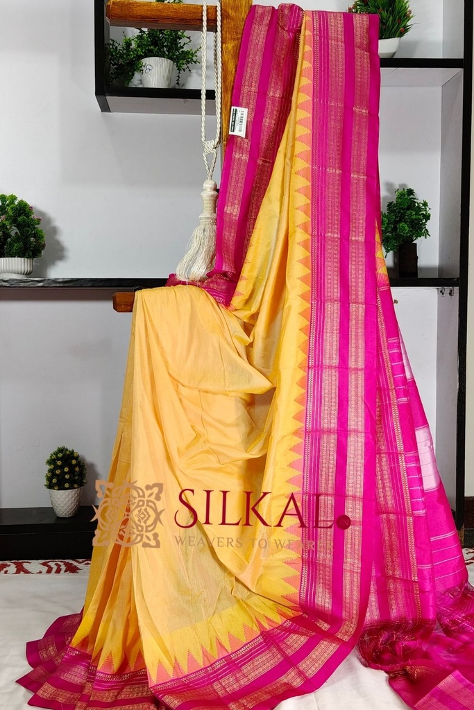 Ilkal Rudhrakshi Naryanpeth Saree