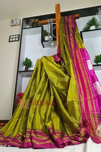 [SKL1141] Ilkal Viscose Gayetri Border Saree